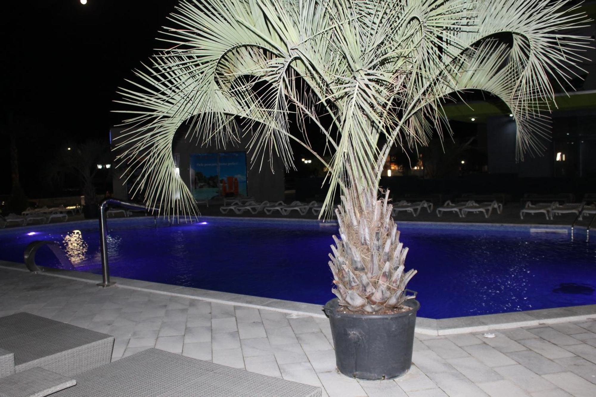 On Beach-Mamaia Residence นาโวดาริ ภายนอก รูปภาพ
